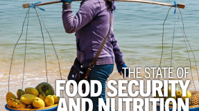 L’état de la sécurité alimentaire dans le monde – rapport 2021