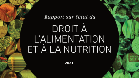 Rapport sur l’état du droit à l’alimentation et à la nutrition 2021 