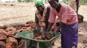 Agro-écologie, productrices et cordons pierreux au Togo © AVSF