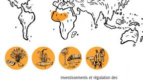 Couverture: Transactions foncières de grande envergure en Afrique de l'Ouest