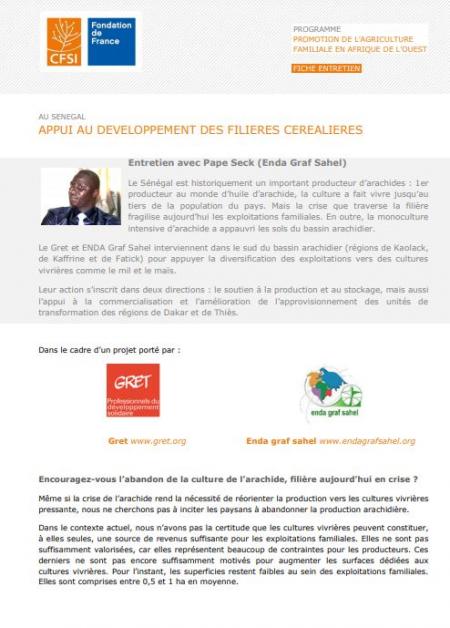 Pape Seck revient sur les stratégies d'appui aux filières céréalières au Sénégal