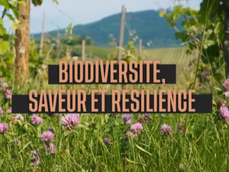 biodiversité, saveur et résilience