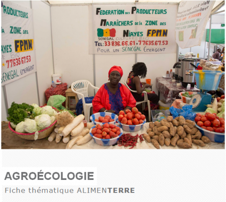 Stand de la Fédération des producteurs des Niayes à la FIARA (Dakar) © Grdr
