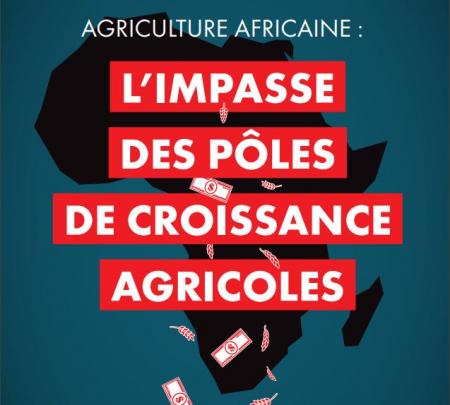Agriculture africaine : l'impasse des pôles de croissance agricole
