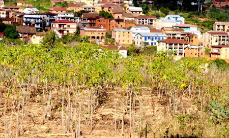 Madagascar paysage champs village