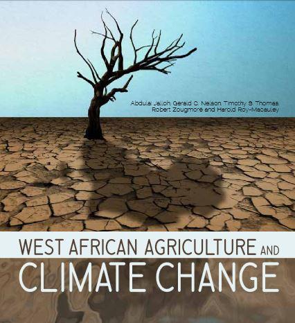 Agriculture ouest-africaine et changement climatique