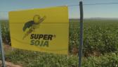 "Super Soja" : Champ de soja en Argentine Photo du film Bientôt dans vos assiettes (de gré ou de force)