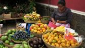vente de paniers paysans en circuit court au Salvador © Secours Populaire Français