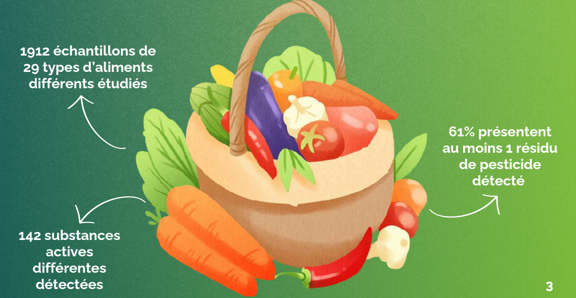 Illustration : panier de fruits et légumes