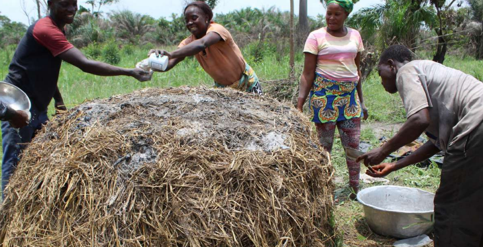 Formation en compostage au Bénin © AFL