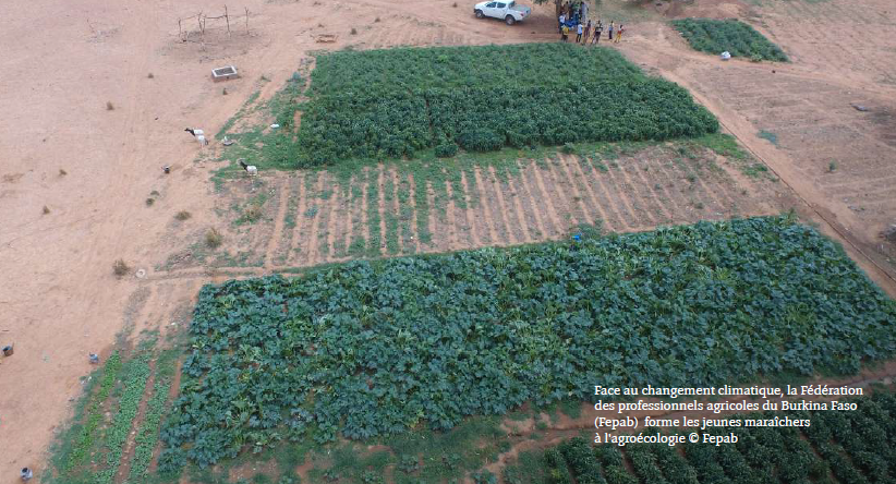 Face au changement climatique, la Fédération des professionnels agricoles du Burkina Faso (Fepab) forme les jeunes maraîchers à l'agroécologie © Fepab