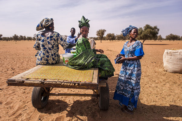 Eleveuses ouest-africaines © Mon lait est local