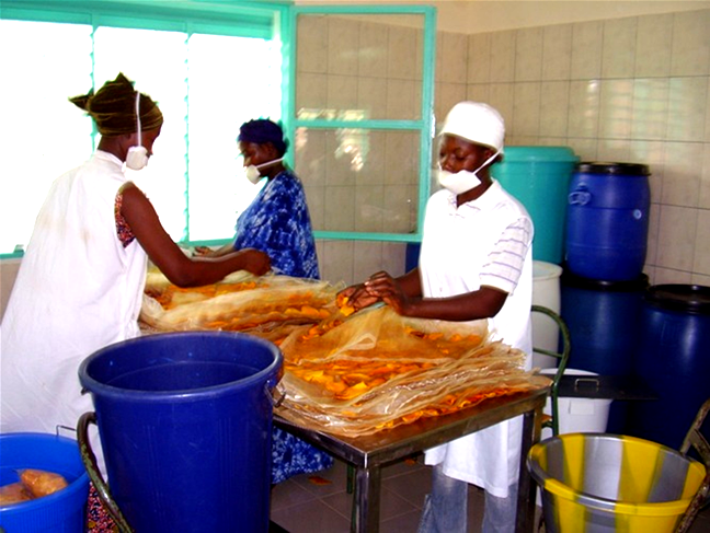 L'industrie agroalimentaire africaine frémit  ALIMENTERRE