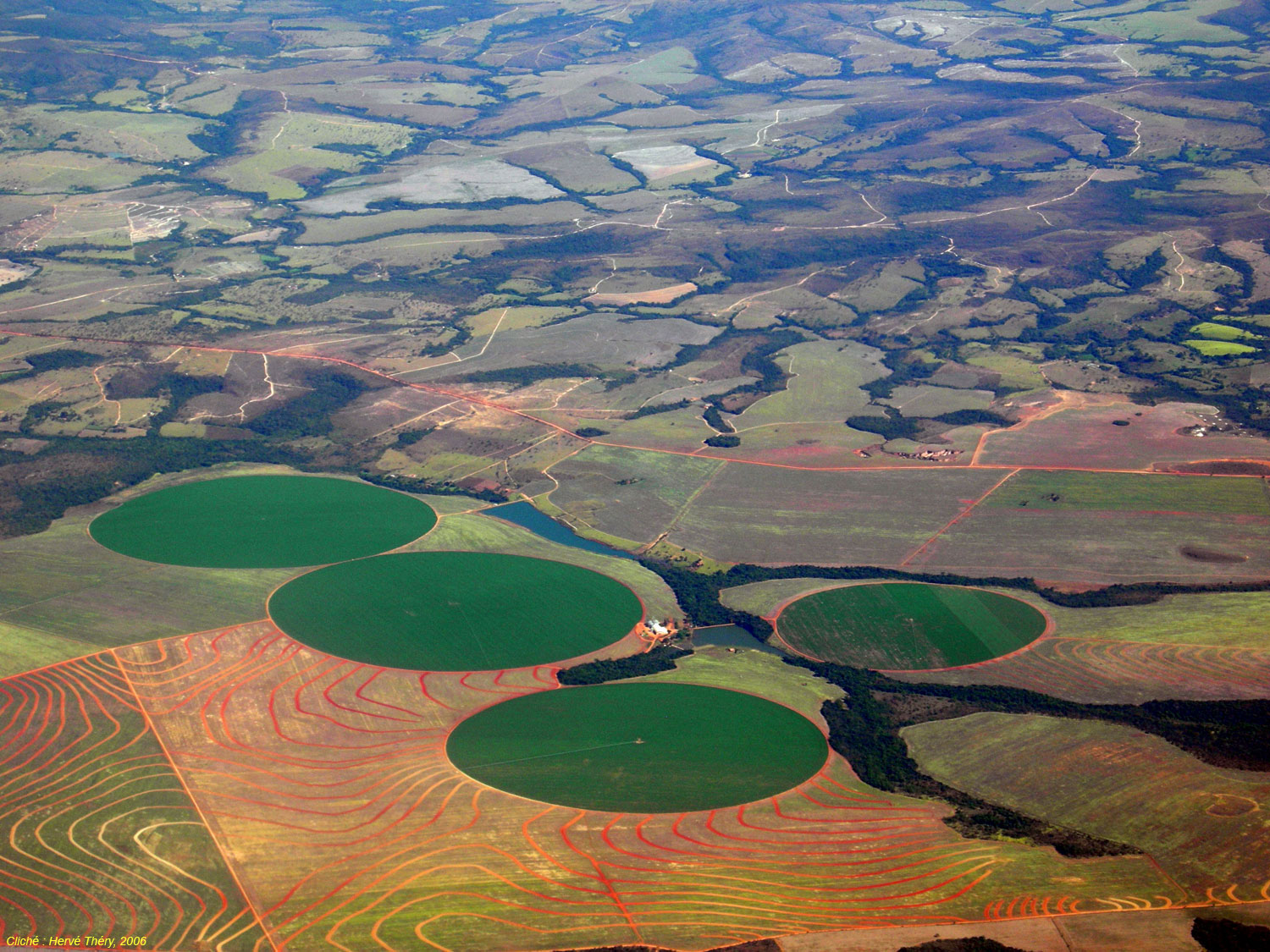 Agriculture familiale et agrobusiness, le témoignage d'une ONG