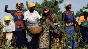 Femmes travaillant dans les champs, Burkina © Paola Viesi - Cultures of resistance films