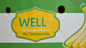 Bananes bio labellisées "Welly", Sénégal © Rikolto