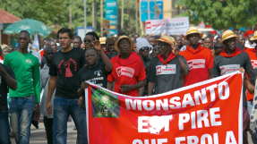 Marche contre Monsanto en 2015 à Ouagadougou © Autre Terre