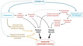 schéma sur l'impact de la crise covid-19 sur la sécurité alimentaire