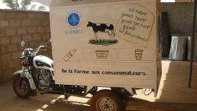 Véhicule pour le transport laitier © Apil