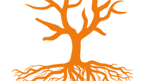 Image d'un arbre avec des racines et des branches