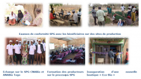 Système participatif de garantie Burkina Faso