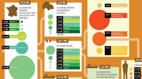 Infographie "Le marché céréalier français" source FranceAgriMer, 2021