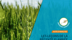 Première de couverture de l'étude de Coordination SUD