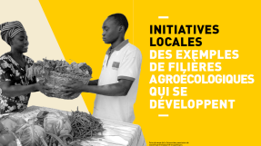 Solutions ouest-africaines pour des systèmes alimentaires durables : les initiatives locales