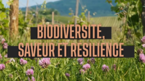 biodiversité, saveur et résilience