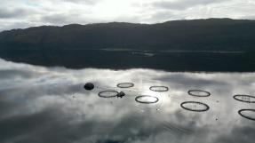 Loch où sont élevés des saumons en Ecosse