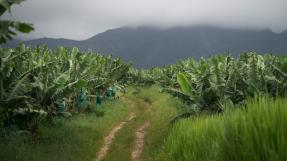 paysage