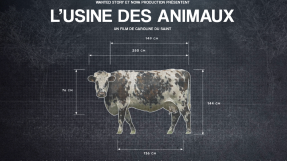 affiche du film