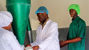 Visite d'une entreprise agroalimentaire au Togo © Seni Souglimpo