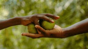 Food hands