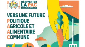 Visuel du document