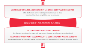 Schéma des différentes tensions sur le budget alimentaire