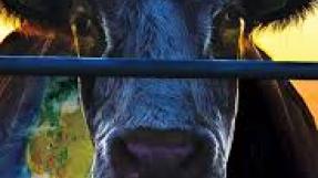 Affiche du film "Cowspiracy"