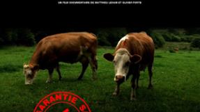 Affiche du film "Herbe"