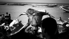 Photo pêche Sénégal © Ivano Trabalza