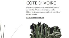 Carte de la Côte d'Ivoire - photo d'oignons © Rongead