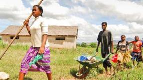 Photo rapport installation des jeunes en agriculture en Afrique