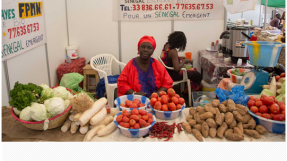 Stand de la Fédération des producteurs des Niayes à la FIARA (Dakar) © Grdr