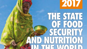 L'état de la sécurité alimentaire et de la nutrition dans le monde 2017