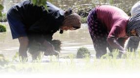 Visuel compte-rendu séminaire sur l'eau agricole