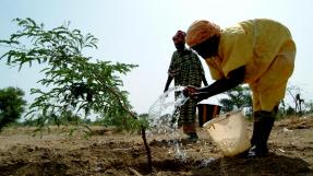 Arboriculture au Mali © FIDA Amadou Keita