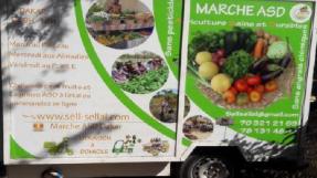 Enda pronat camion légumes ASD