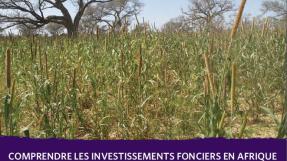 Couverture rapport Oakland Institute Mali