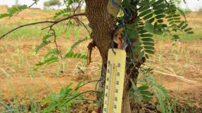 Photo : L'irrigation est rationnalisée avec l'aide de thermomètres et de pluviom