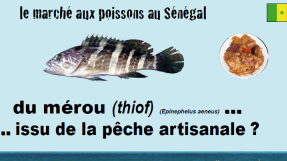 Jeu de la pêche