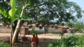Village Togo (Tové proche Kpalimé)